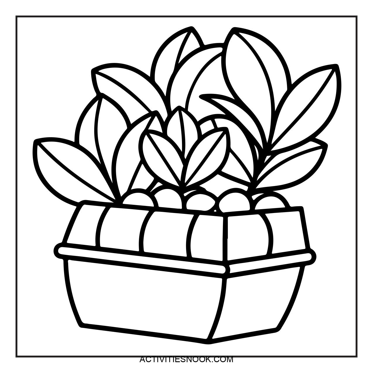 Black and white coloring page of a potted plant with multiple leaves and round elements in a rectangular container.