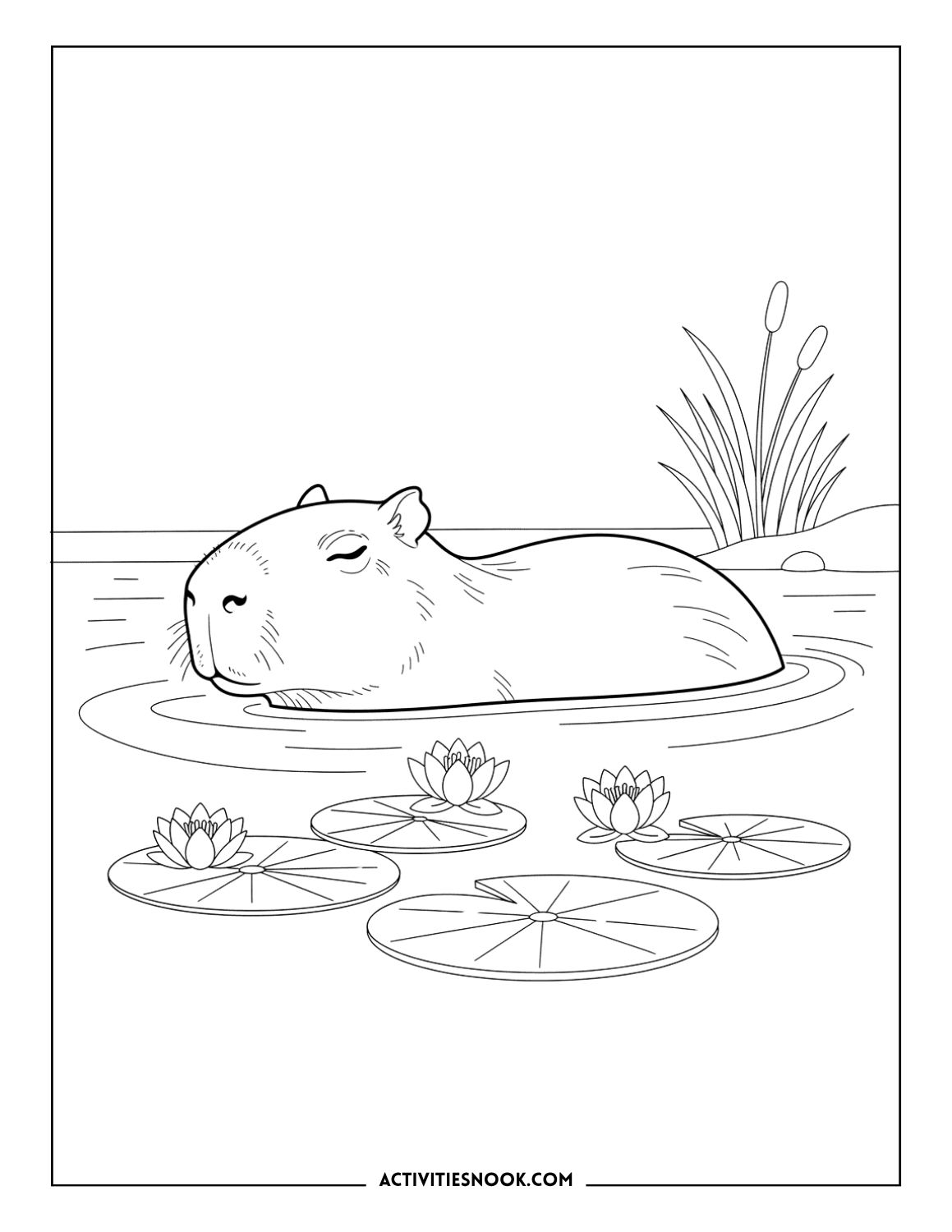 Line drawing of a capybara floating in water surrounded by lily pads and plants.