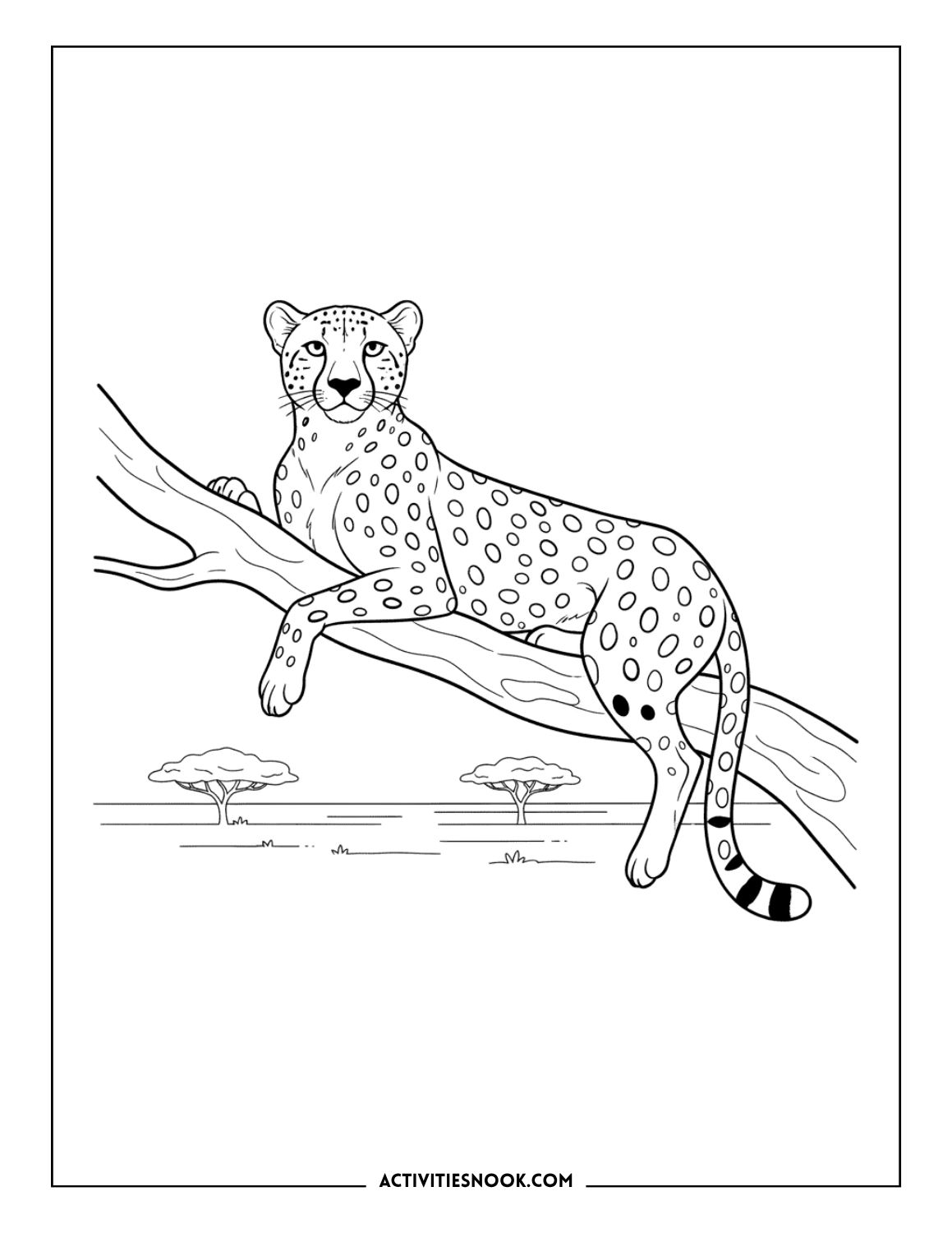 Cheetah resting on a tree branch with open plains in the background.