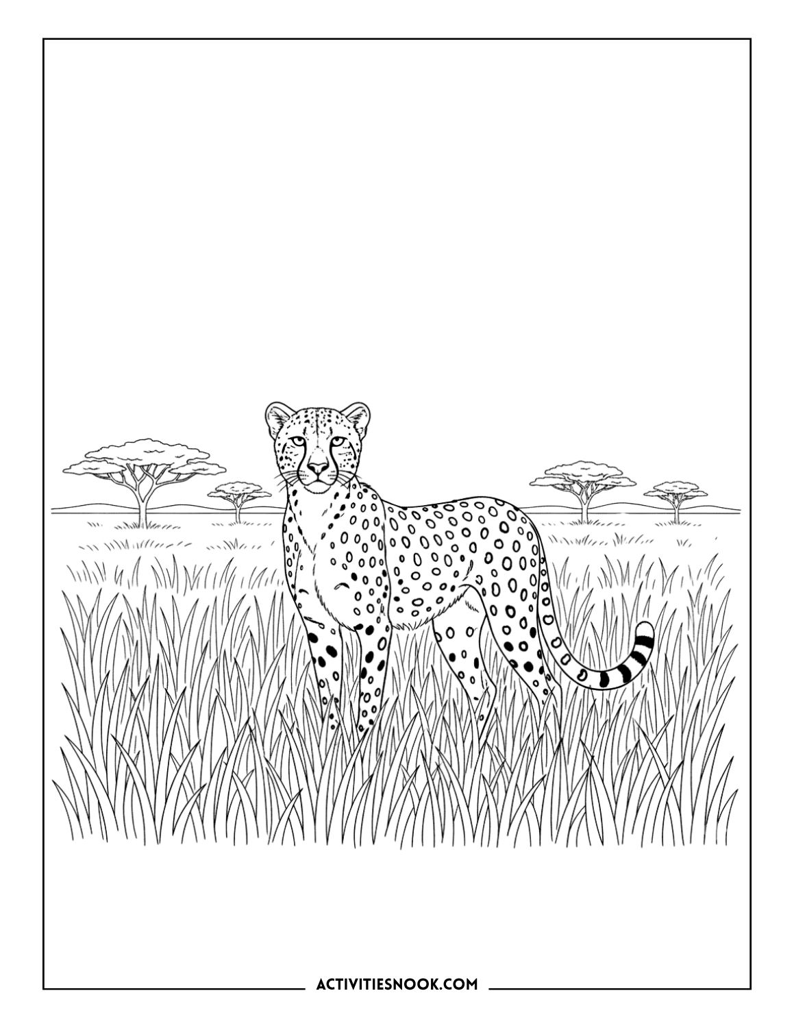 Cheetah standing in tall savanna grass with acacia trees in the background.