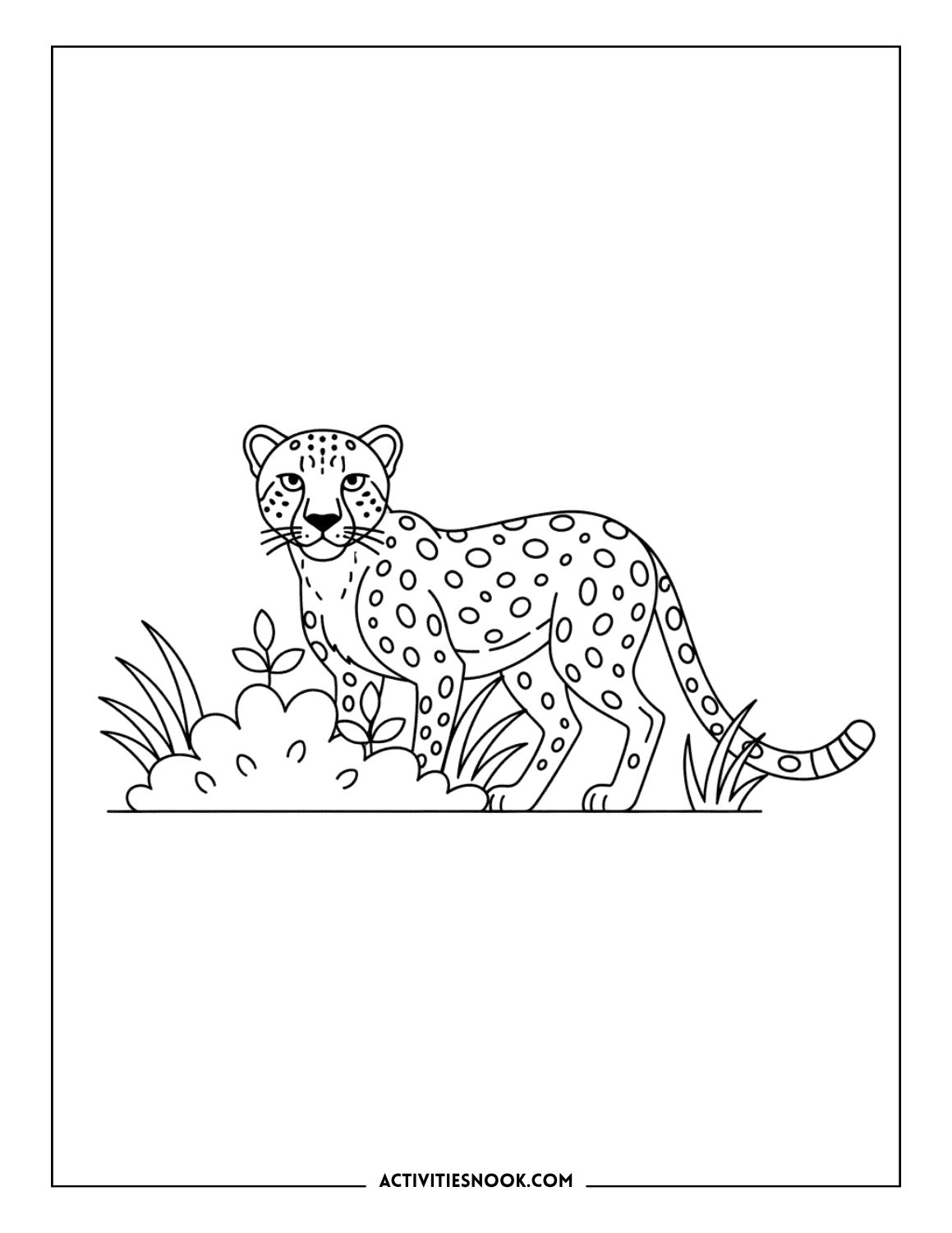 Cheetah walking past a bush with grass and leaves around it.