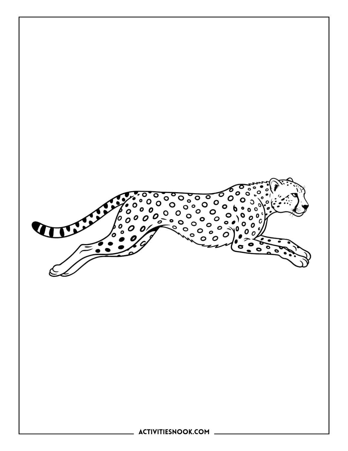 Cheetah running at high speed with its body stretched out in full stride.