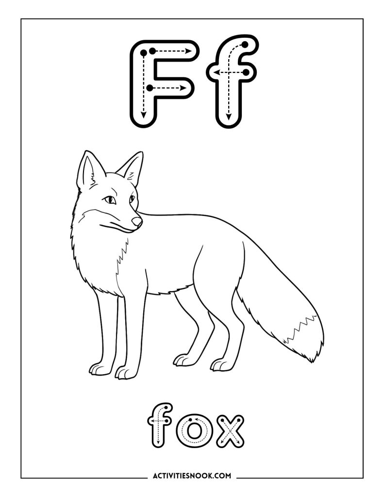 realistic fox with large letter F and word “fox” for alphabet learning, educational coloring page