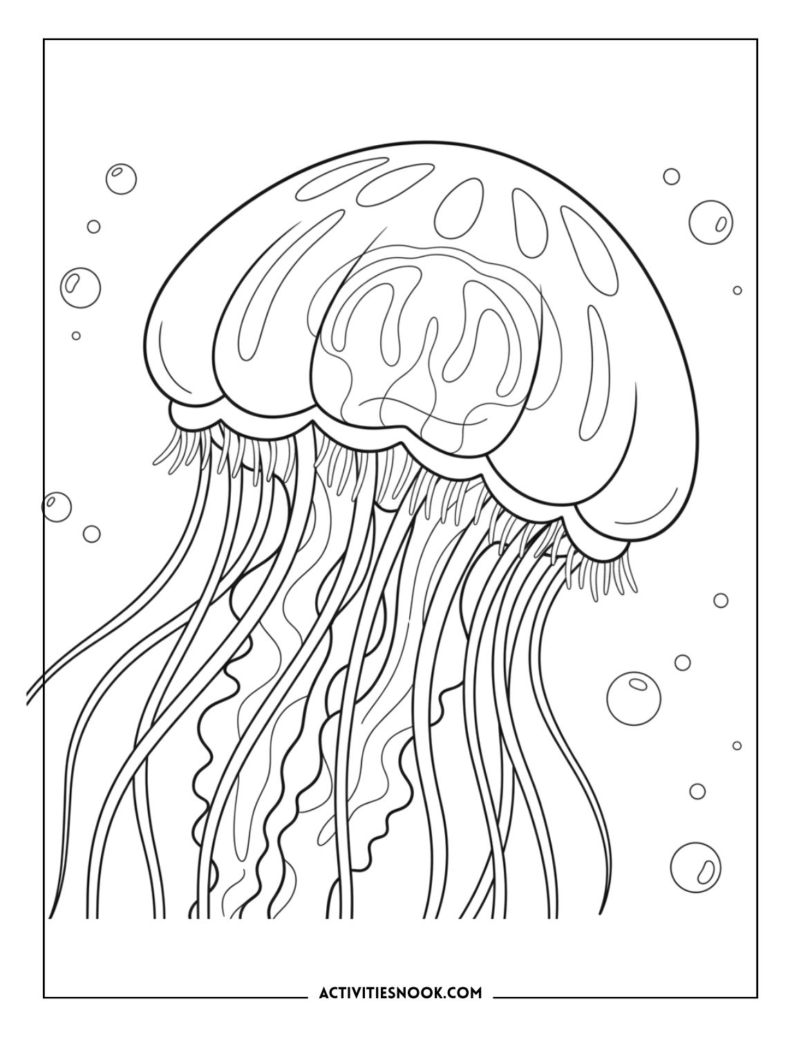 Realistic jellyfish close-up with long tentacles and underwater bubbles for coloring.