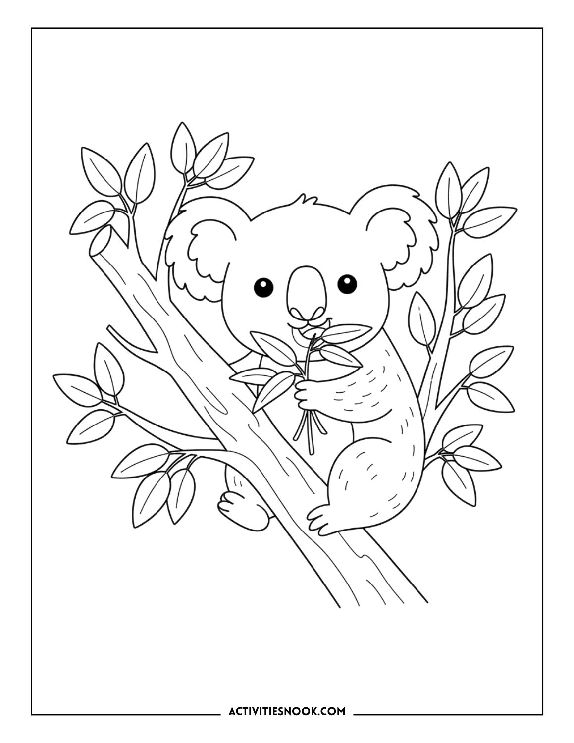 koala eating eucalyptus leaves line art for kids to color