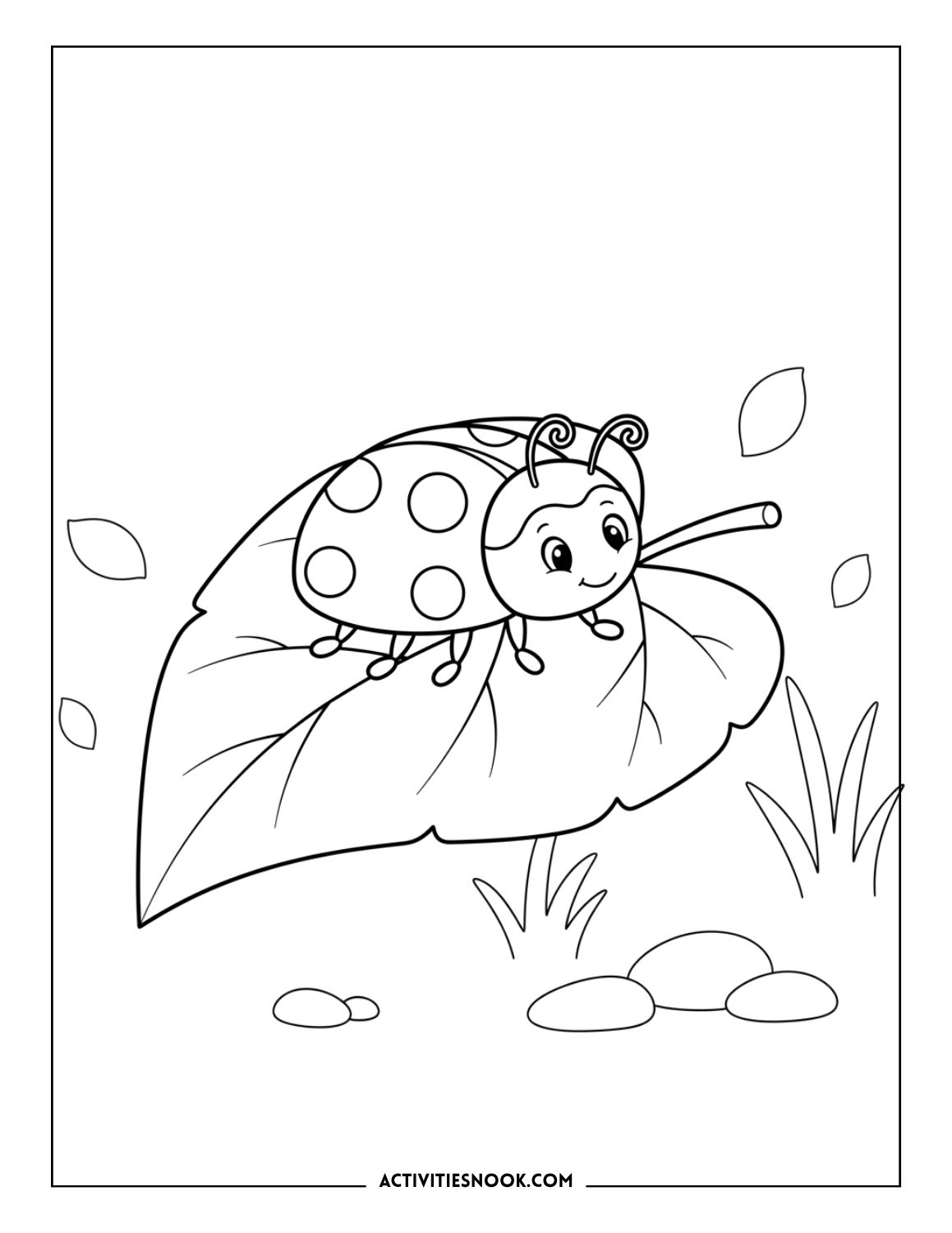 Cute ladybug sitting on a leaf with scattered leaves in the background.