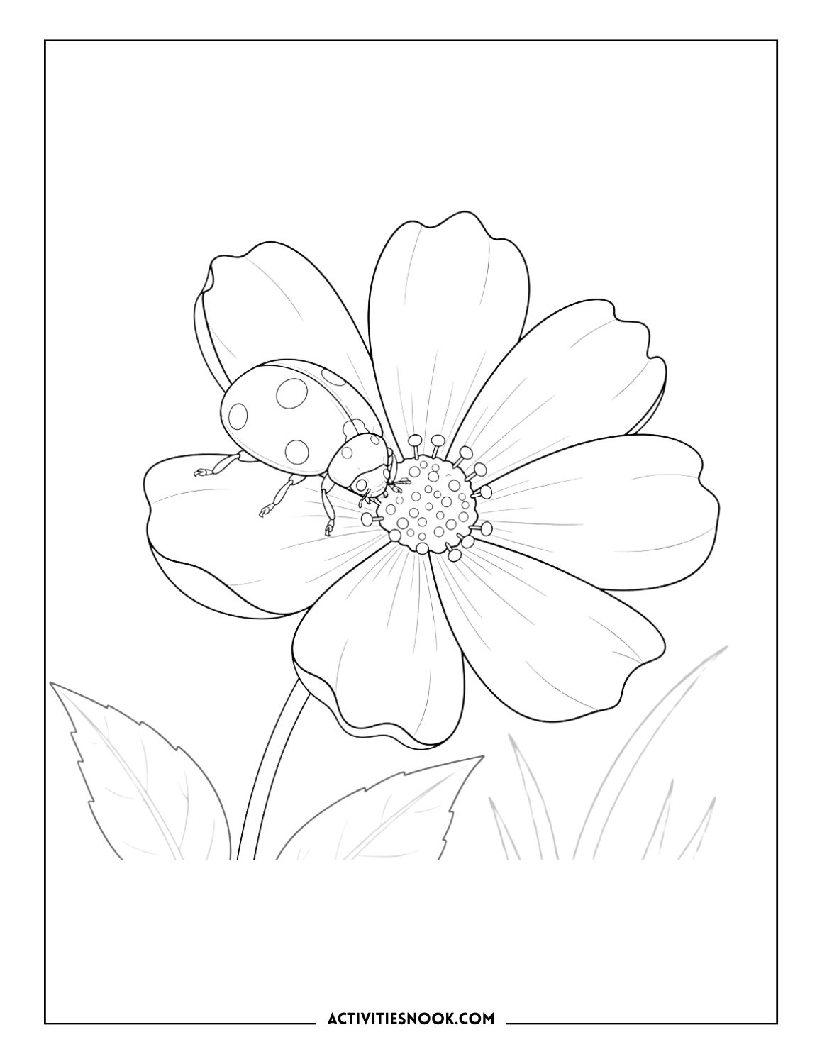 Ladybug crawling on a big flower with leaves and petals.