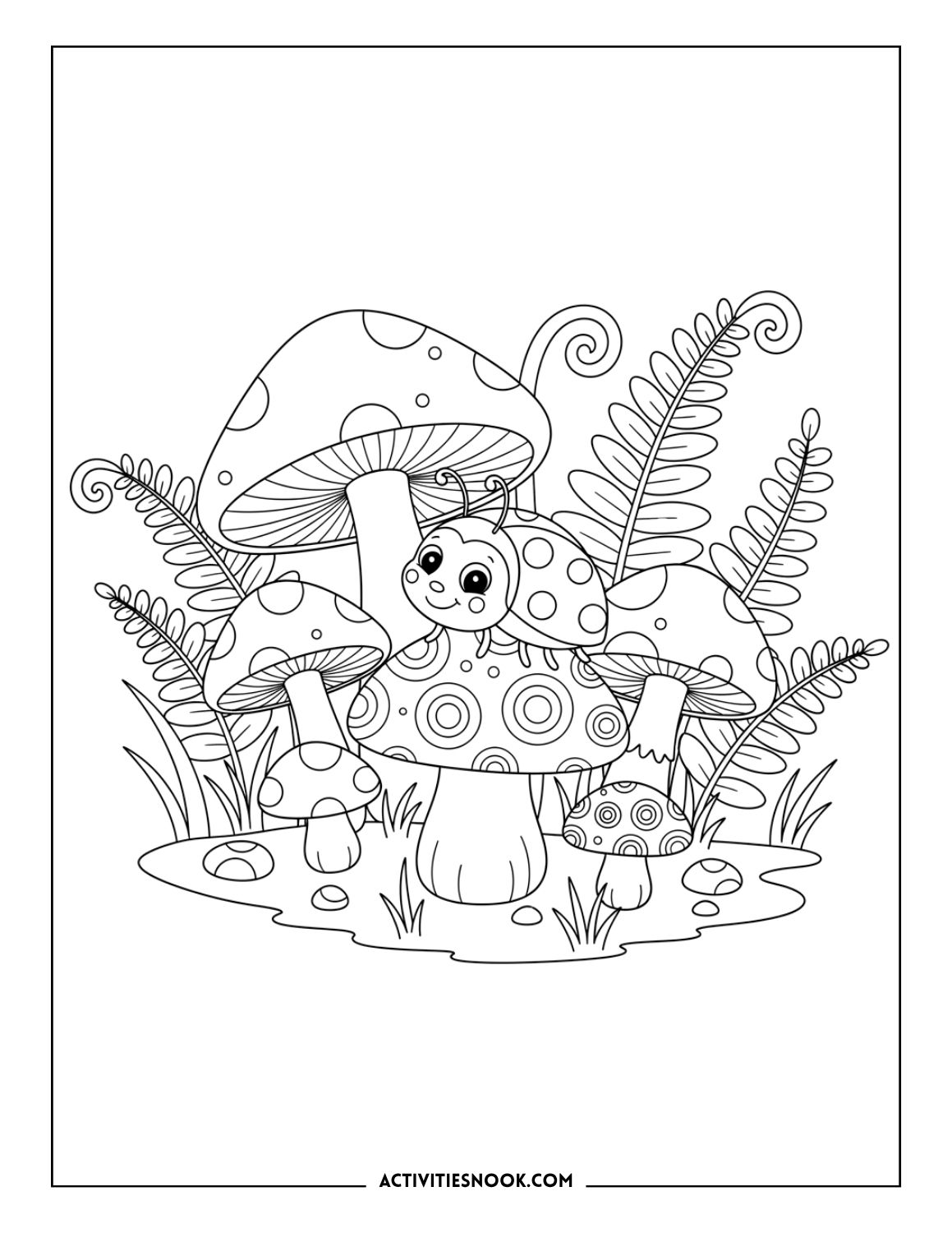 Ladybug sitting on mushrooms surrounded by ferns.