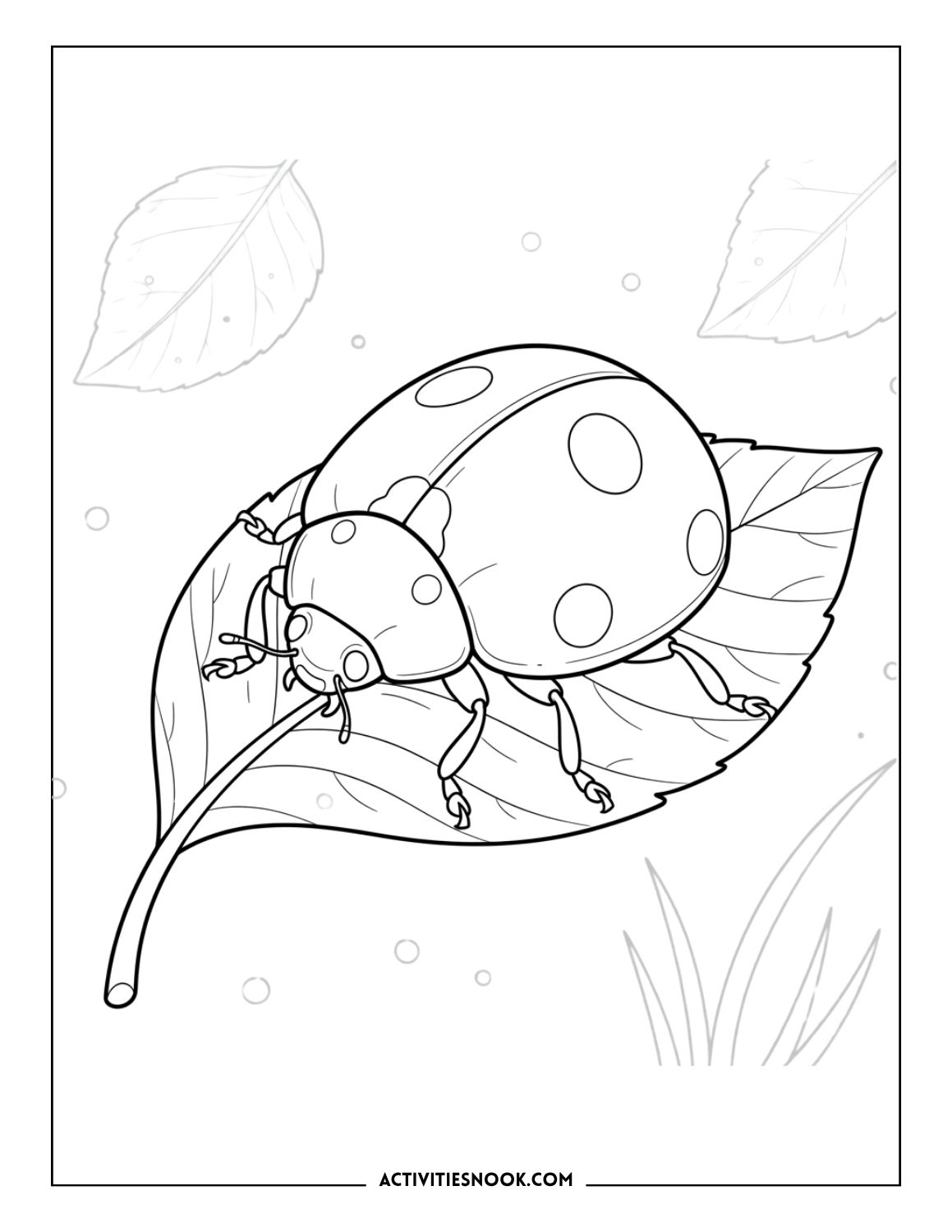 Realistic ladybug on textured leaf with visible veins.