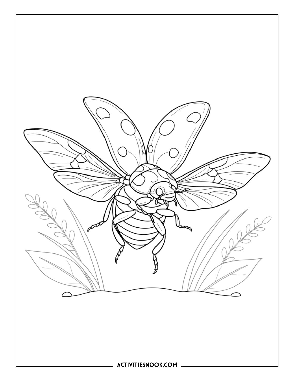 Realistic Ladybug flying above plants with wings open.