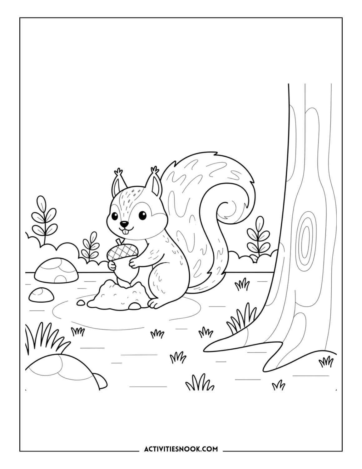 squirrel burying an acorn near a tree with grass and rocks, forest animal coloring page
