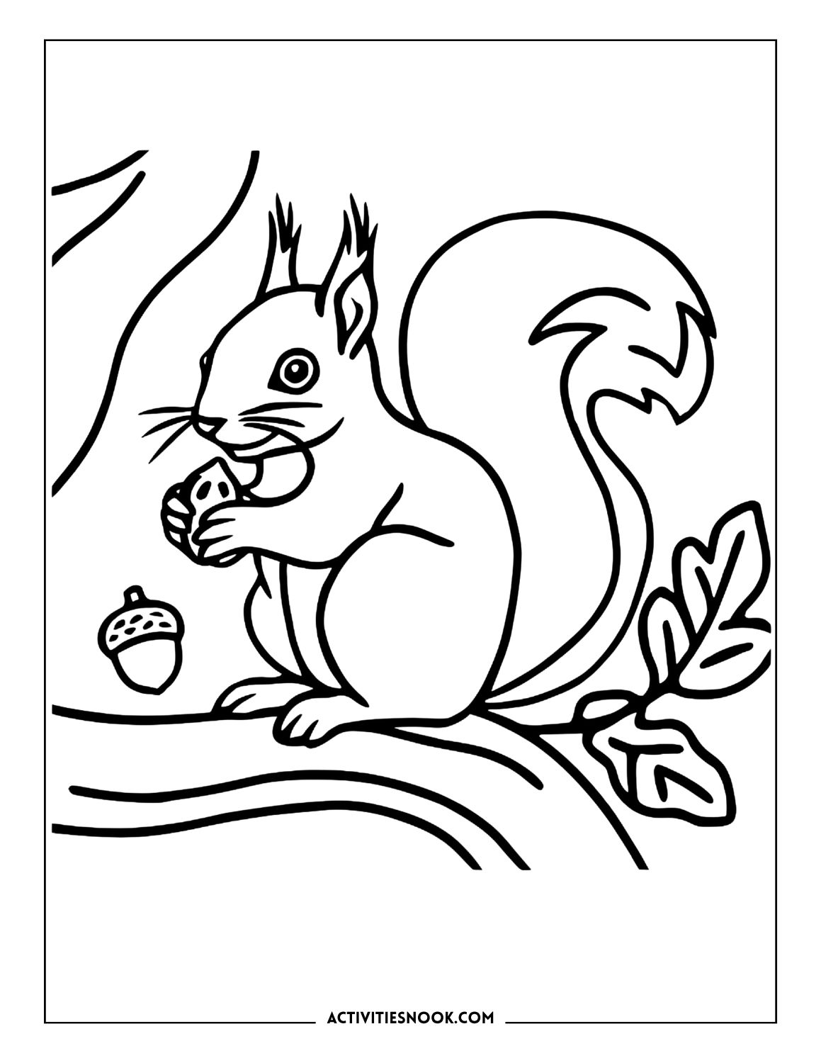 Realistic squirrel coloring page: Squirrel sitting on an oak tree branch holding a nut, with an acorn and a leaf nearby.