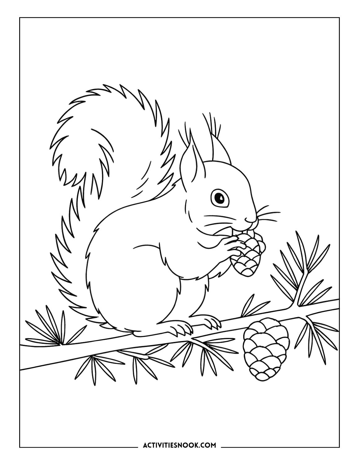 Realistic squirrel coloring page: Squirrel sitting on a pine tree branch, holding a pinecone, with a second pinecone beside it.