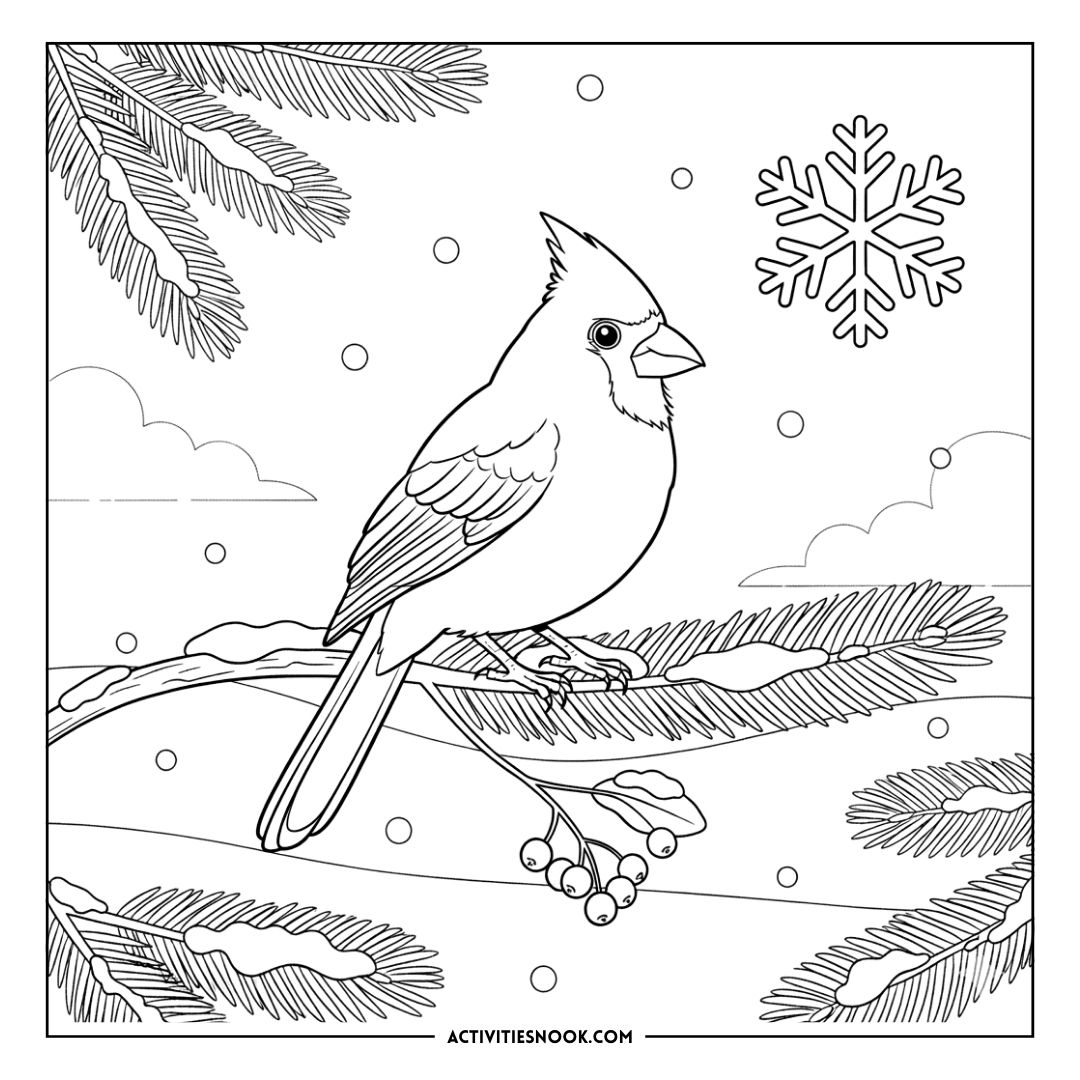Black and white coloring page of a cardinal perched on a branch with snowflakes and pine needles.