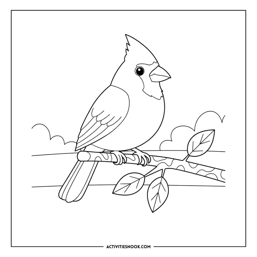 Line art illustration of a cardinal bird perched on a branch with leaves.