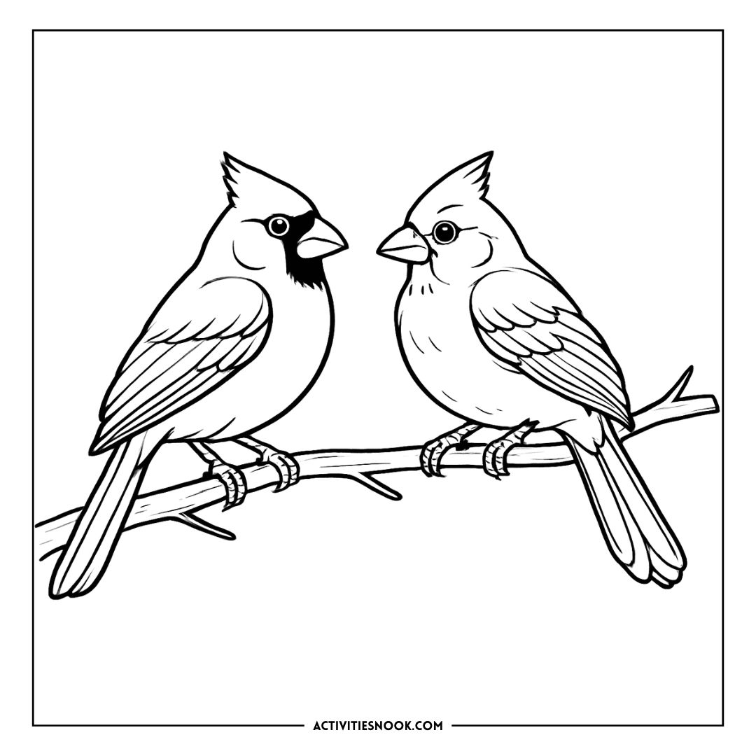 Two cardinals perched on a branch, illustrated in a black and white coloring page style.