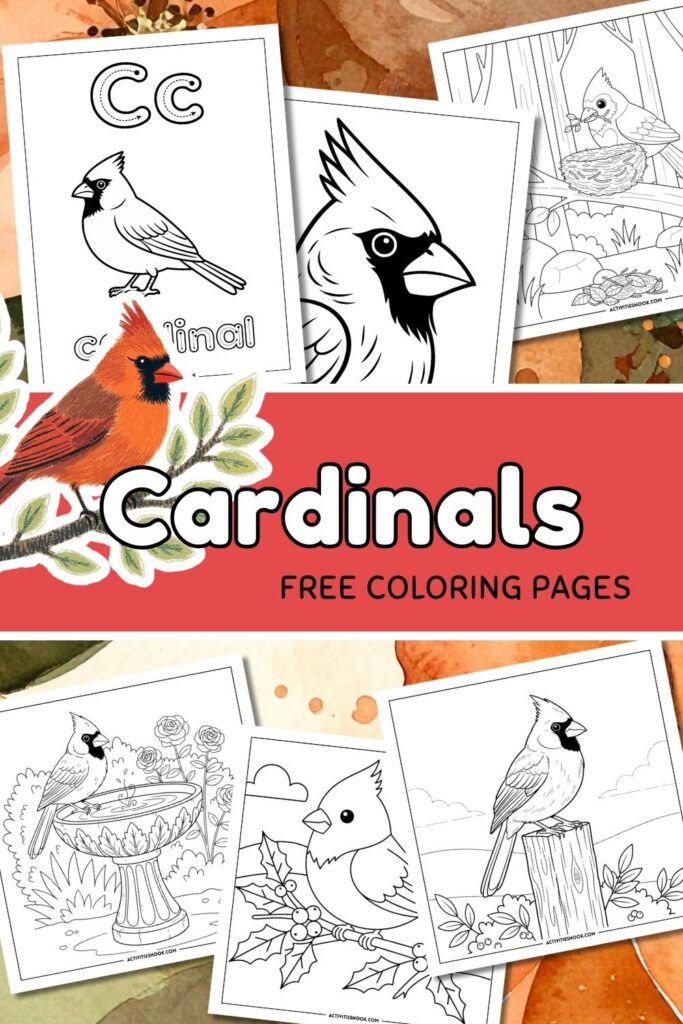 Coloring pages featuring cardinals, including various designs and illustrations of the bird.