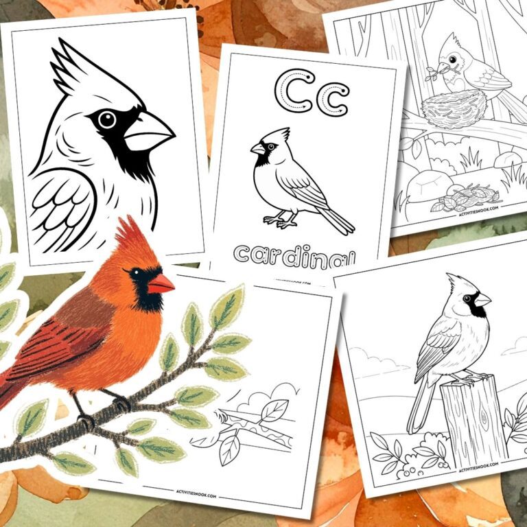 Coloring pages featuring cardinals, including illustrations and the letter 'C' for cardinal.