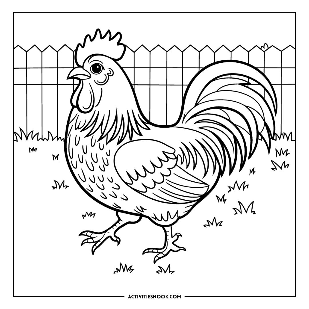 Line art illustration of a rooster standing in a grassy area with a fence in the background.