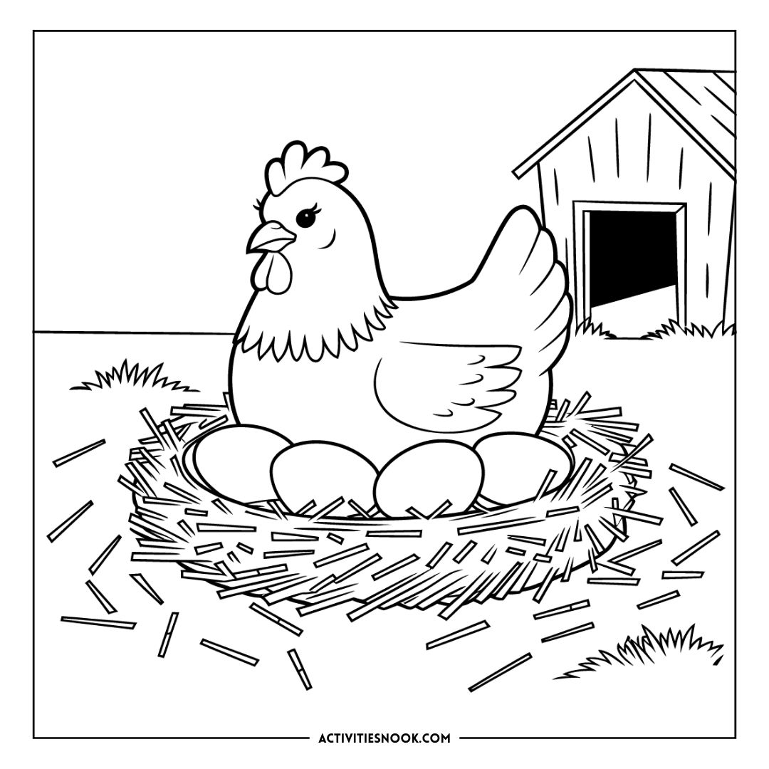 Black and white illustration of a hen sitting on eggs in a nest outside a small barn.