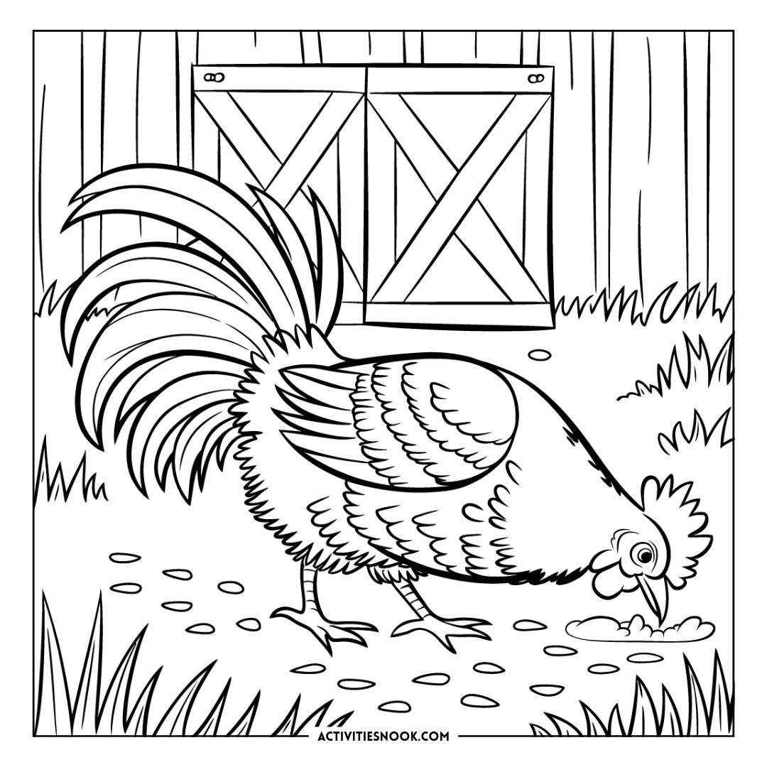 Black and white coloring page featuring a chicken pecking at the ground with a barn door in the background.