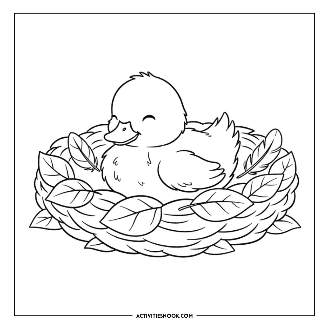Coloring page featuring a duckling resting in a nest surrounded by leaves, suitable for educational activities.