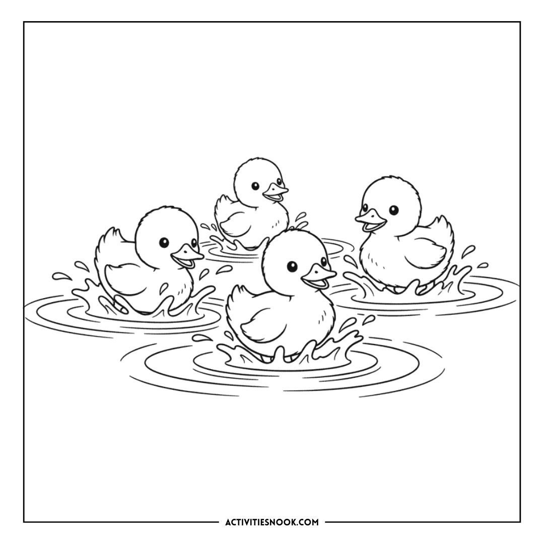 Four ducklings splashing in water, depicted in a coloring page style with outlines for coloring.