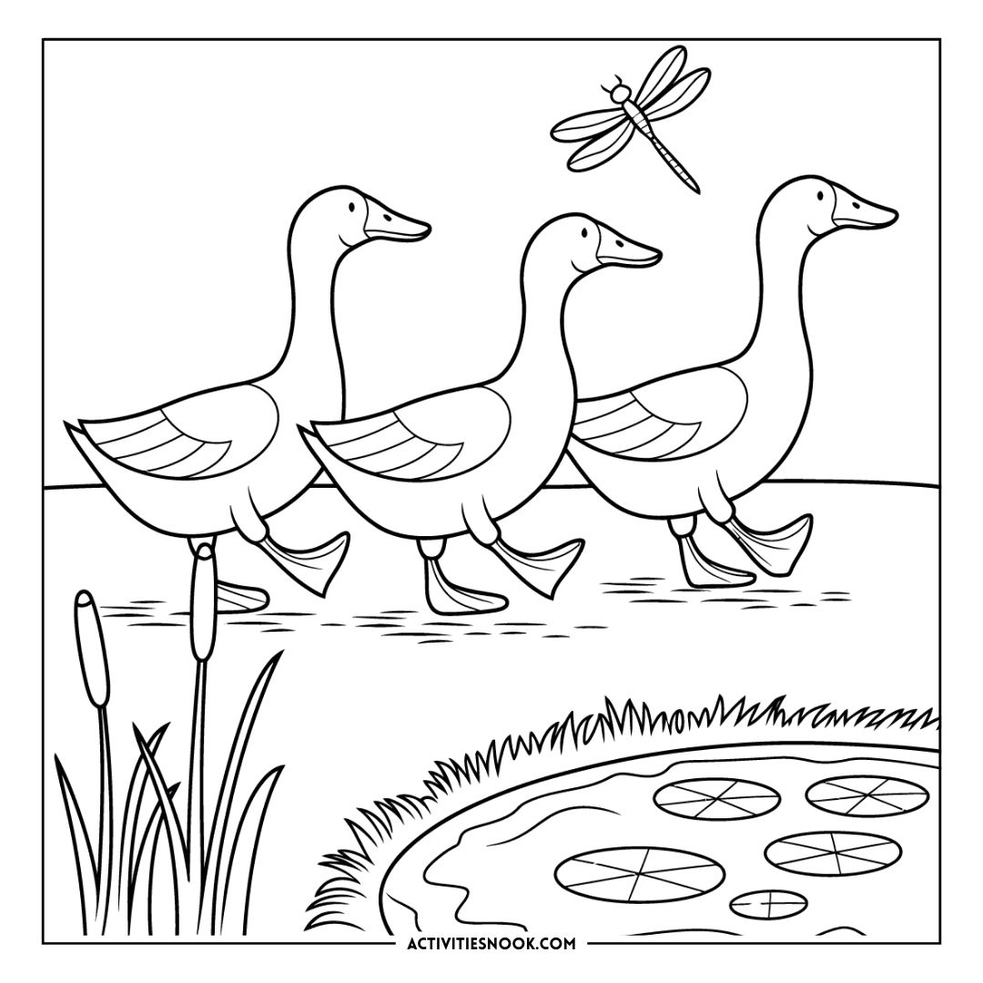 Three ducks walking in a line near a pond with lily pads and a dragonfly above them.