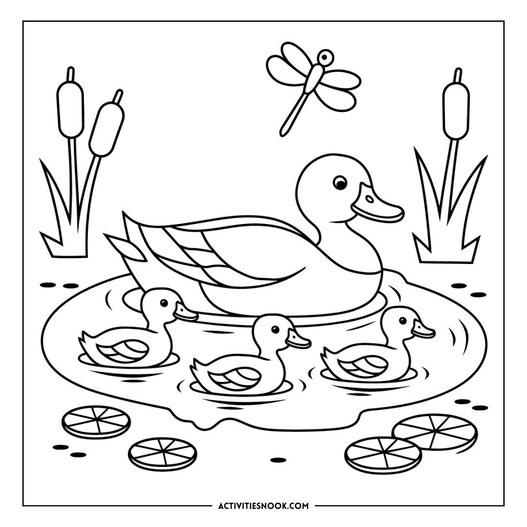 Black and white coloring page featuring a duck and three ducklings swimming in a pond with lily pads and a dragonfly.