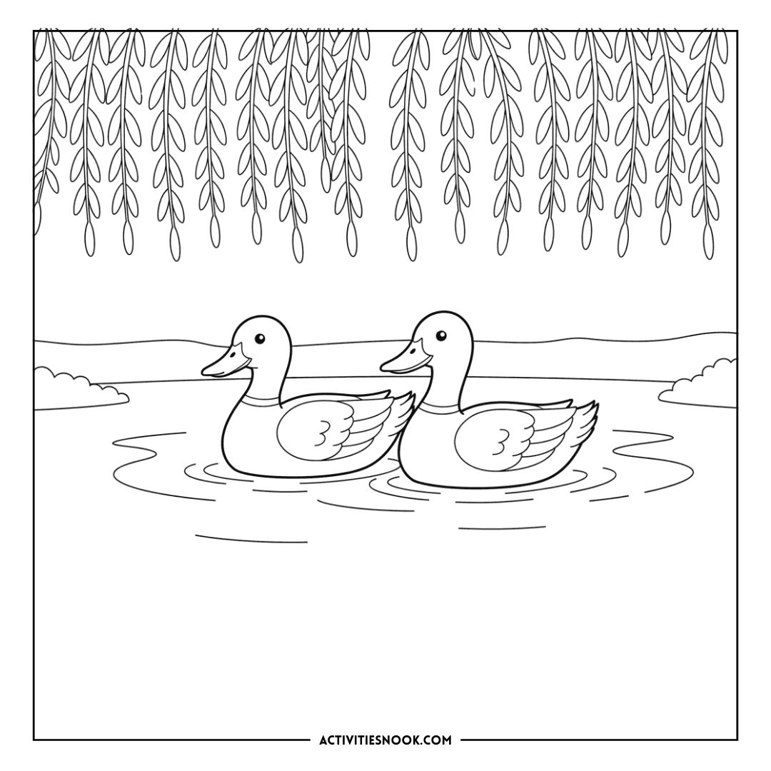 Two ducks swimming in a pond surrounded by trees, presented as a coloring page for educational activities.
