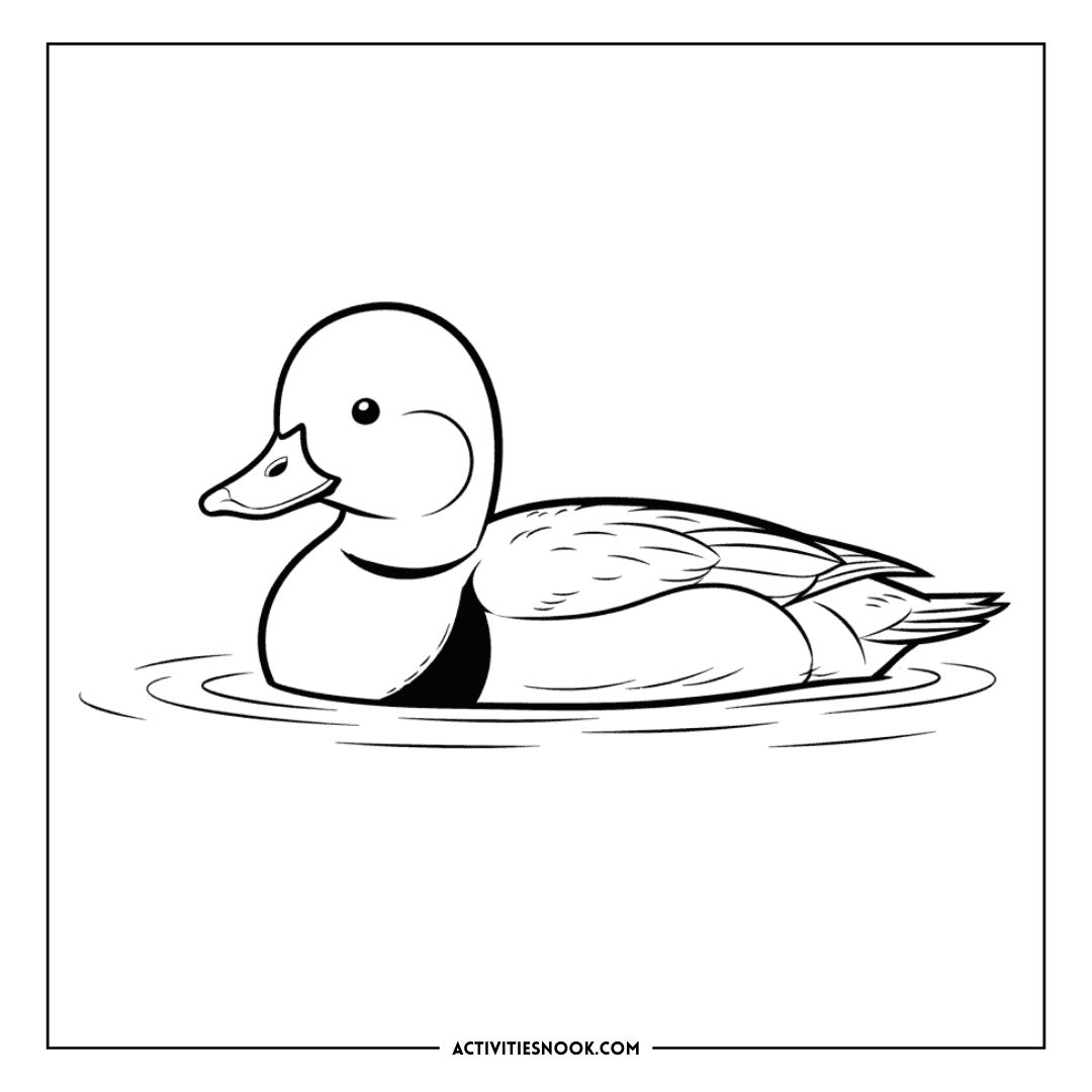 Line art illustration of a Bufflehead duck swimming on water, suitable for coloring activities.