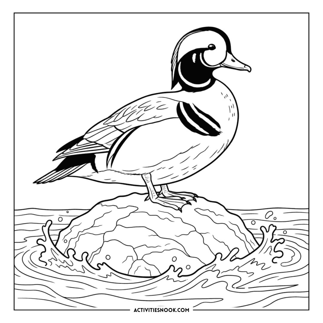 Coloring page featuring a harlequin duck standing on a rock with splashing water around it.