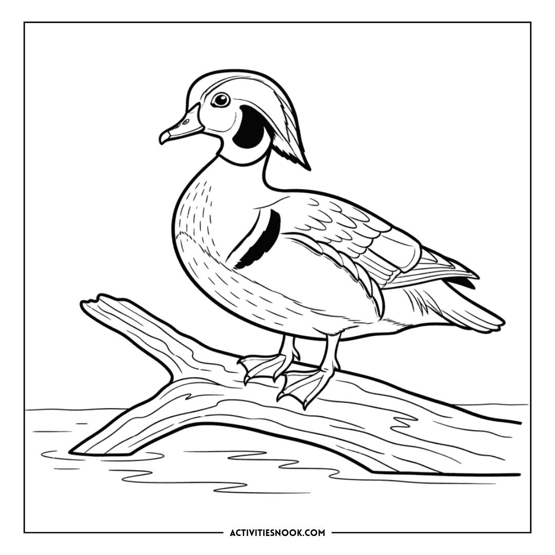 Coloring page featuring a wood duck standing on a log by the water's edge.