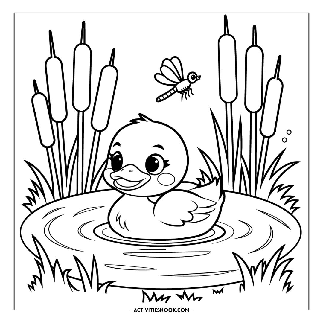 Coloring page featuring a duck swimming in a pond surrounded by cattails and a dragonfly above.