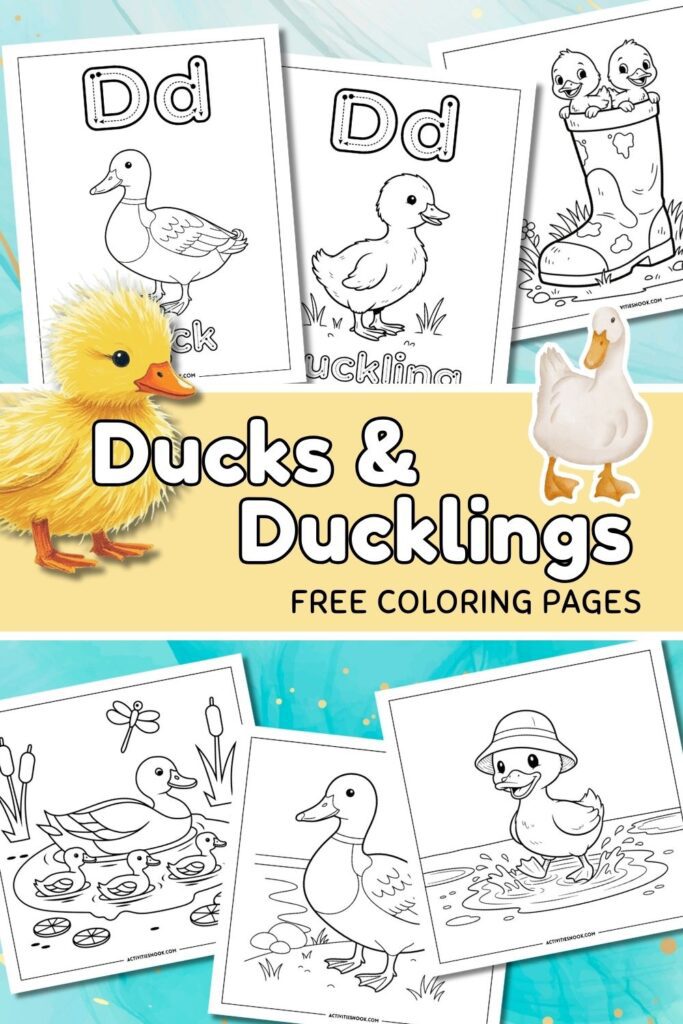 Coloring pages featuring ducks and ducklings with various designs and activities for children.