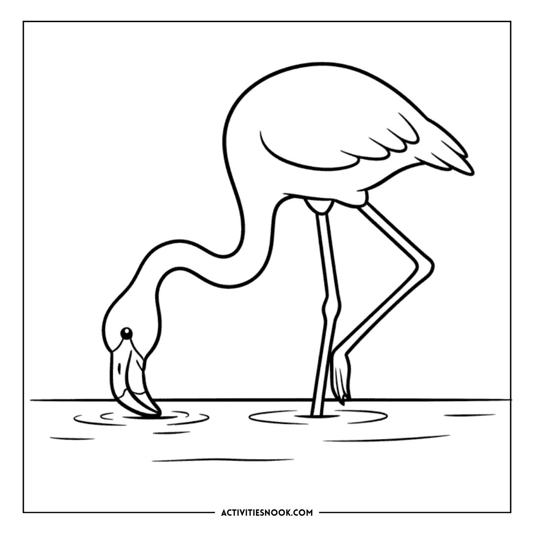 Line art illustration of a flamingo standing on one leg while bending down to drink water.