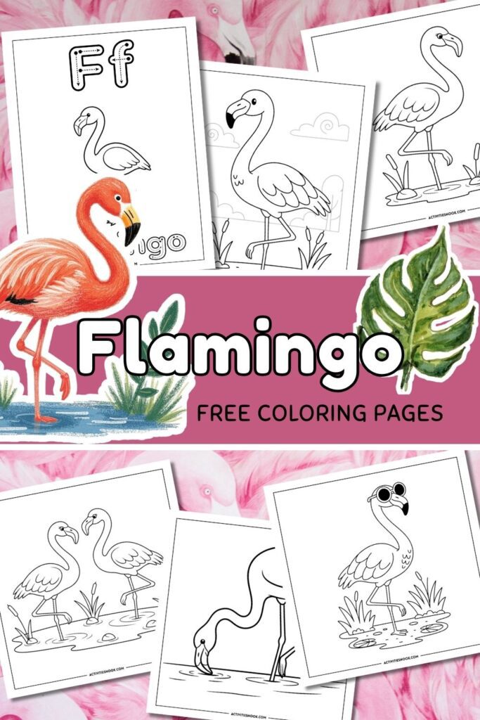 Collection of flamingo coloring pages featuring outlines and a colorful flamingo illustration.