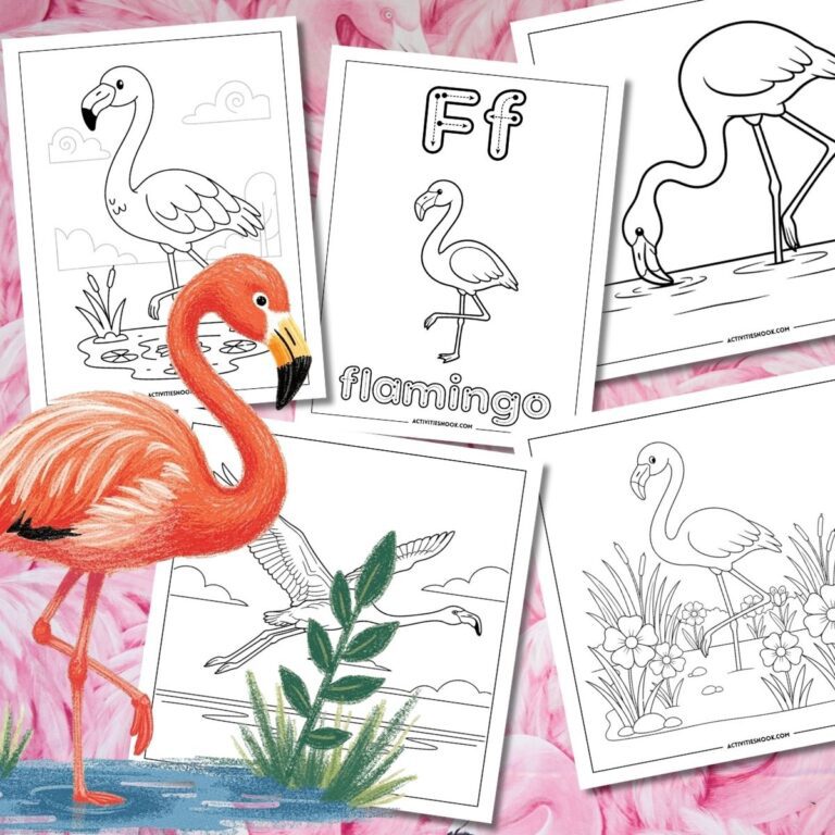Coloring pages featuring flamingos in various poses, including standing and wading in water.