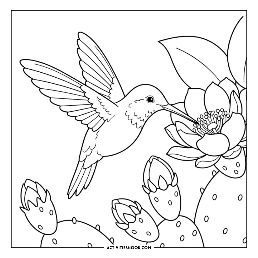 Black and white coloring page featuring a hummingbird hovering near a flower and cactus.