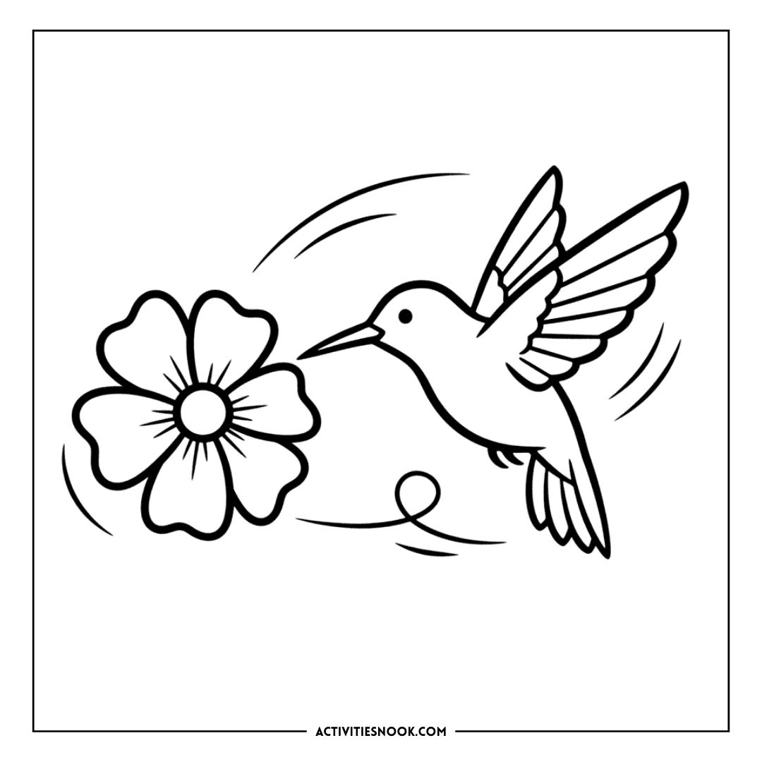 Hummingbird hovering near a flower, designed for coloring activities and educational purposes.