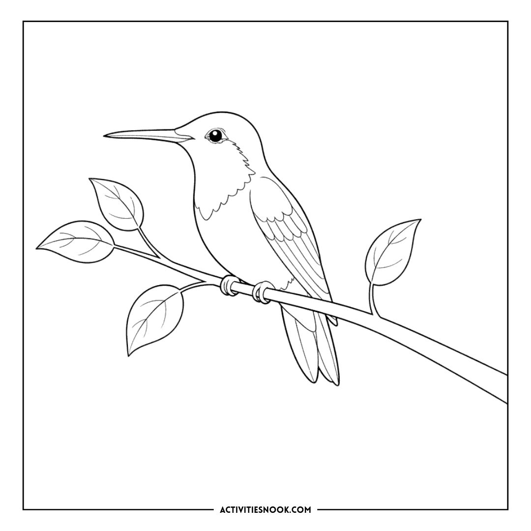 Line drawing of a hummingbird perched on a branch with leaves, suitable for coloring activities.