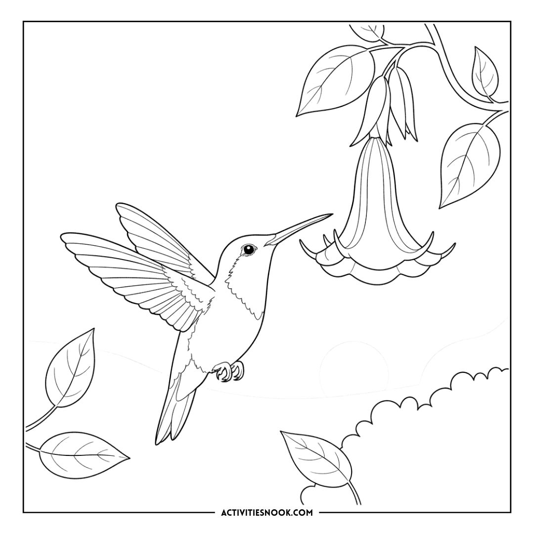 Line art illustration of a hummingbird hovering near a flower with leaves in a coloring page design.