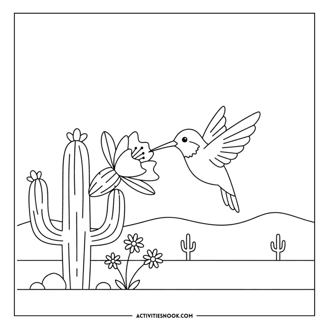 Hummingbird interacting with a flower near a cactus in a coloring page design.