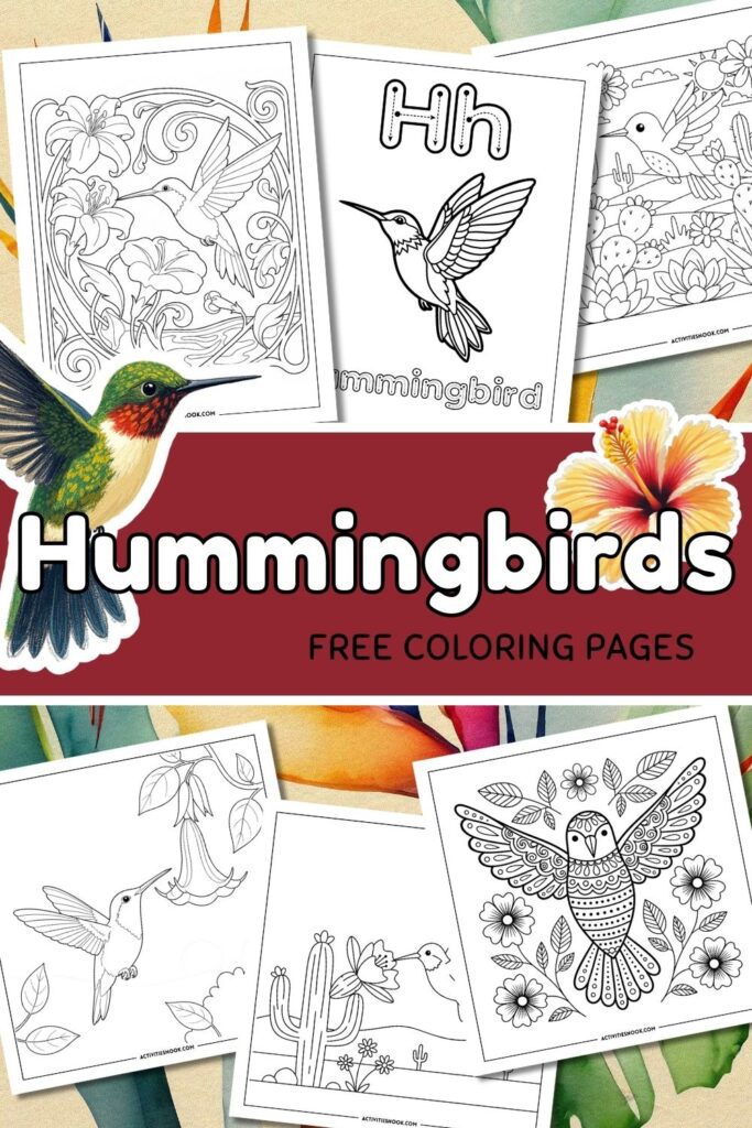 Collection of hummingbird-themed coloring pages featuring various designs and illustrations.