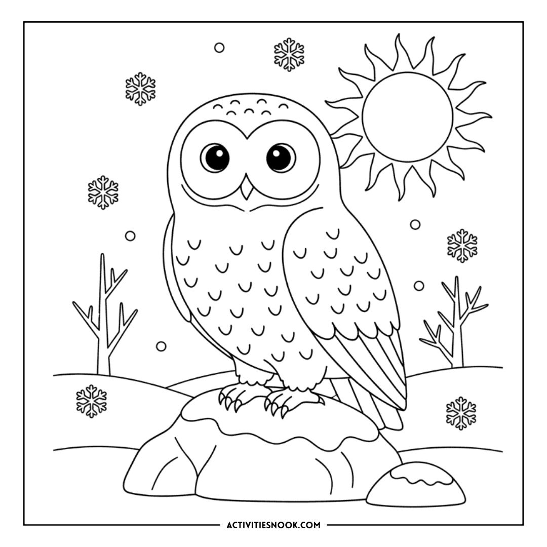 Black and white owl coloring page featuring an owl on a rock with a sun and snowflakes in the background.