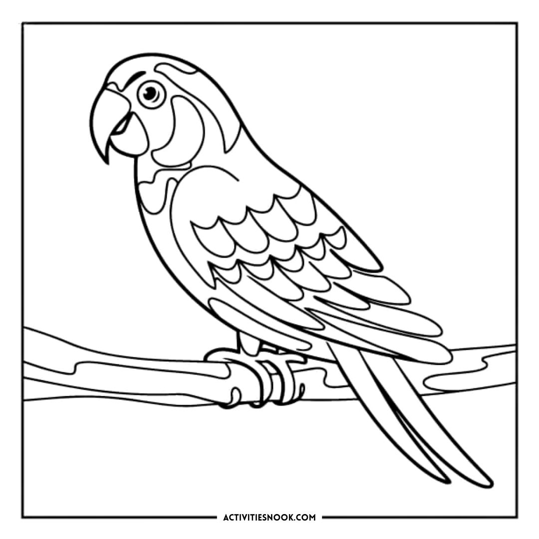 Line art illustration of a parrot perched on a branch, designed for coloring activities.