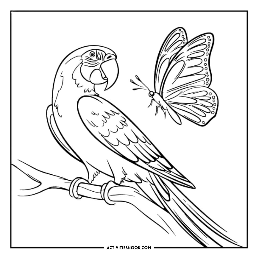 Line art illustration of a parrot perched on a branch with a butterfly nearby.
