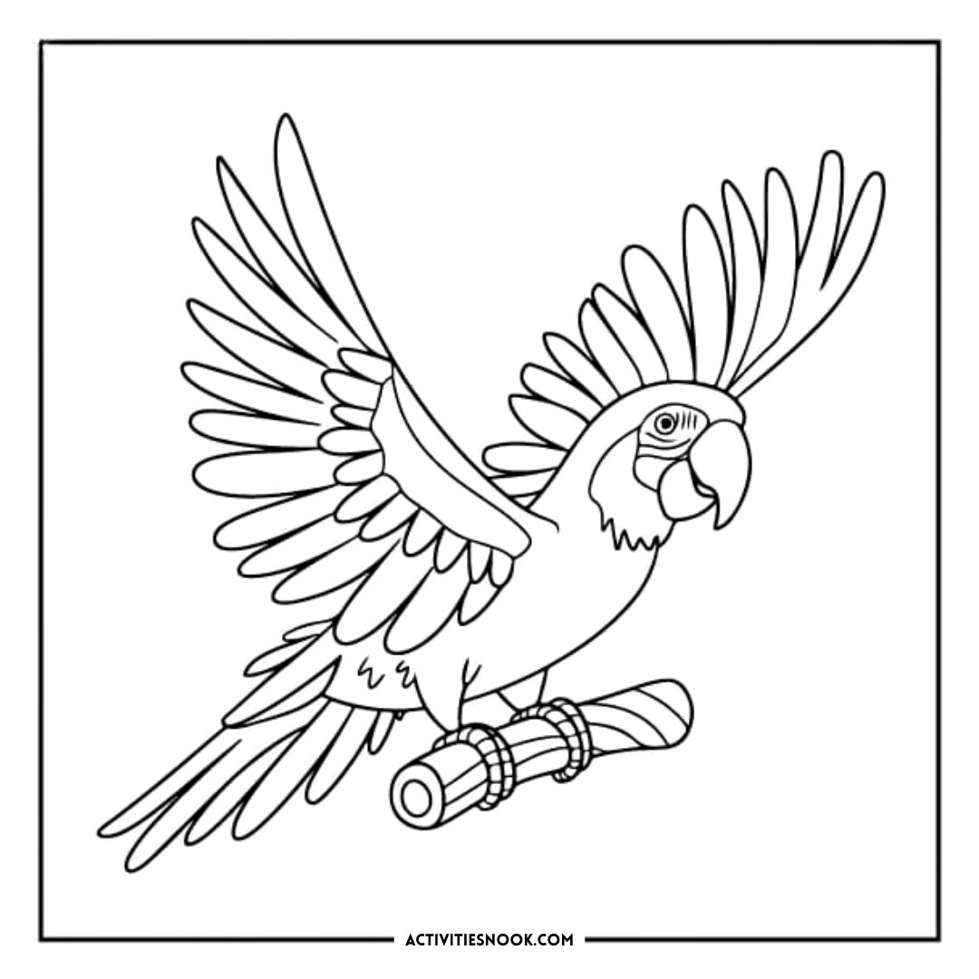 Line art illustration of a parrot with outstretched wings perched on a branch.