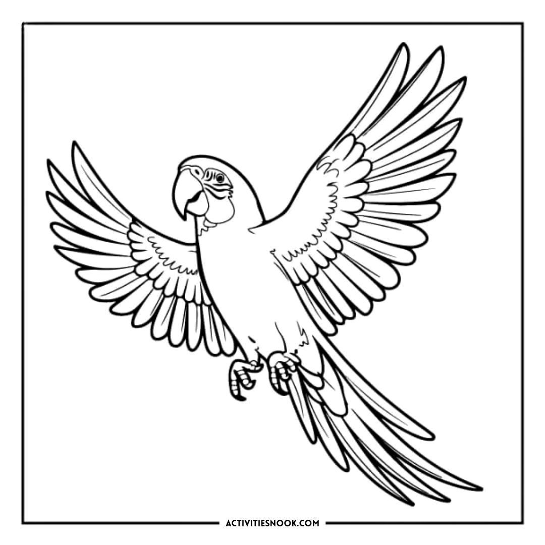 Line art illustration of a parrot in flight with outstretched wings and detailed feathers.