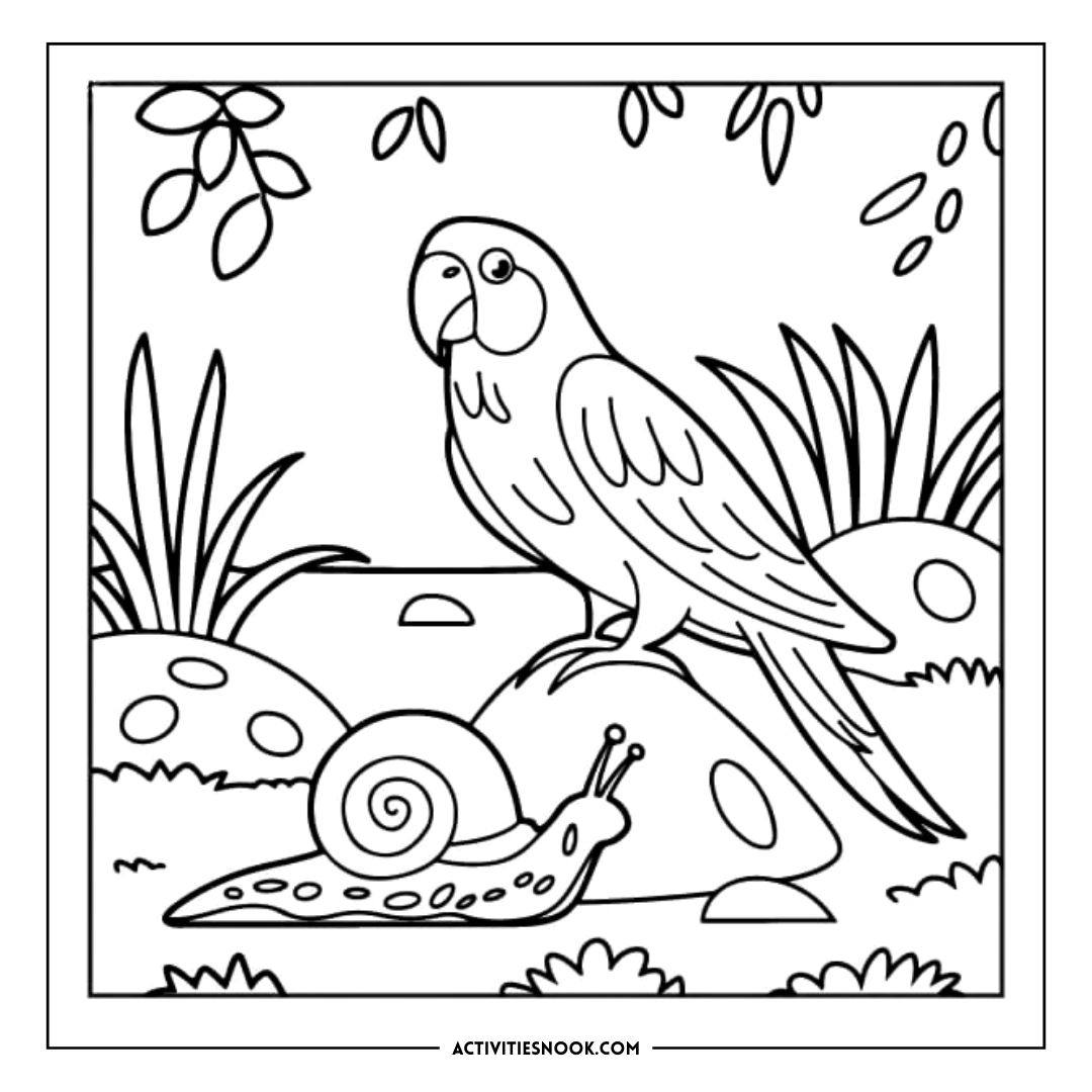 Black and white coloring page featuring a parrot perched on a rock beside a snail.